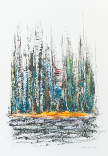 BayArt 2011