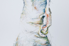 BayArt 2011