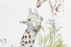 Giraffen