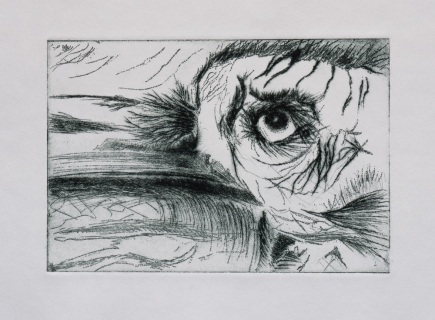 BayArt 2013