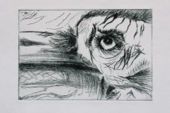 BayArt 2013