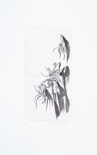 Schatten (Radierung, Zinkplatte, Strichätzung, Aquatinta, 2014)