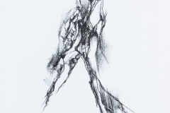 Der Steinmann (Lithografie, 2013)