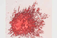 Feuerball IV