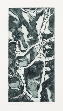 Wurzel und Stein (Radierung 1, 15 x 30 cm(