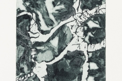 Wurzel und Stein (Radierung 1, 15 x 30 cm(