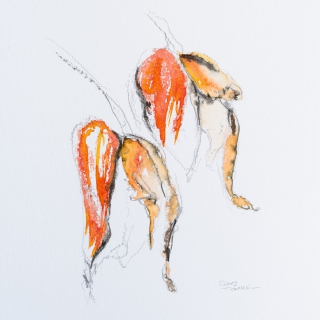 Orchideen (Aquarell, 2013)