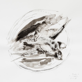 Studie Fische (Tusche, 2018)