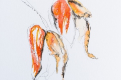 Orchideen (Aquarell, 2013)