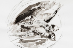 Studie Fische (Tusche, 2018)