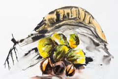 Nüsse und Schoten (Tusche & Aquarell, 2018)