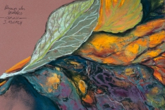 Blumen des Herbstes