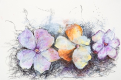 Drei Grazien