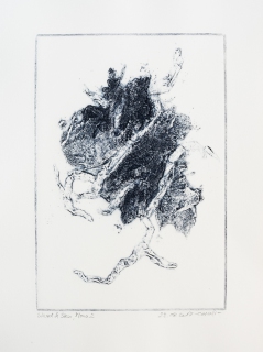 Wurzel und Stein (Collagrafie, Serie 7, Mono 2, 2017))