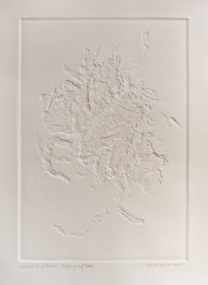 Wurzel und Stein (Collagrafie, Serie 7, Prägung, 2017)