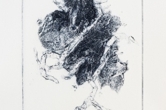 Wurzel und Stein (Collagrafie, Serie 7, Mono 2, 2017))